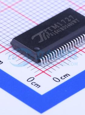 LCD驱动 TM1727 SSOP-48-300mil 原装正品 电子元器件配单