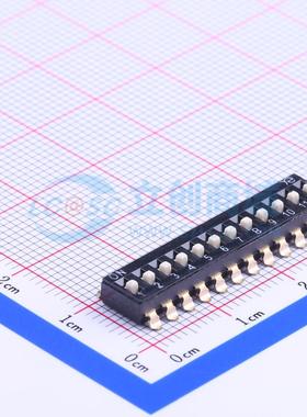 拨码开关 DSIC12LSGET SMD-24P,6x30.5mm 原装 电子元器件配单