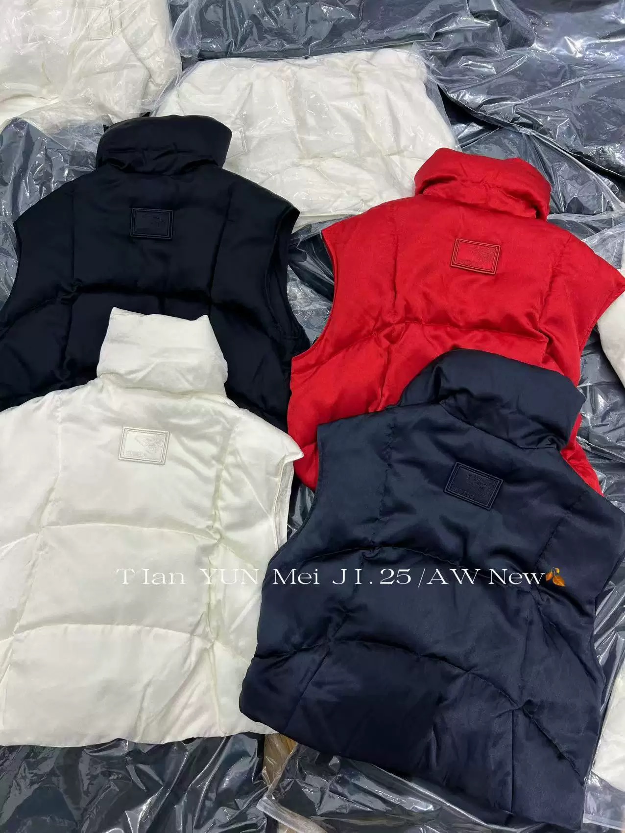 欧洲站2025秋冬新款拉链宽松桑蚕丝白鹅绒羽绒马甲背心外套DY1252