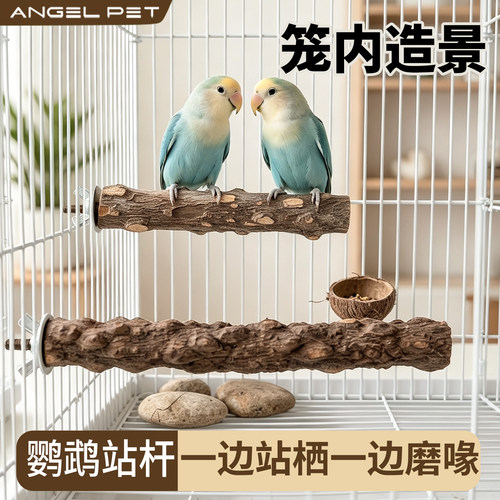 【安吉派特】鹦鹉花椒木站杆