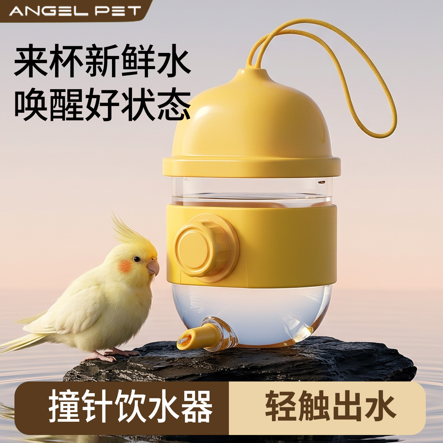 【安吉派特】撞针式饮水器小鸟用图片