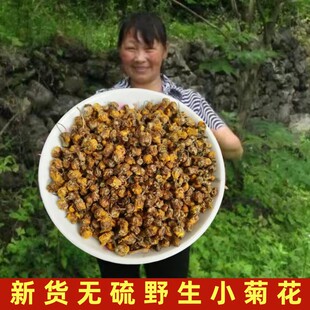 野菊花中药材2024年新货小菊米胎菊苦菊花茶泡水小菊花无硫野菊花