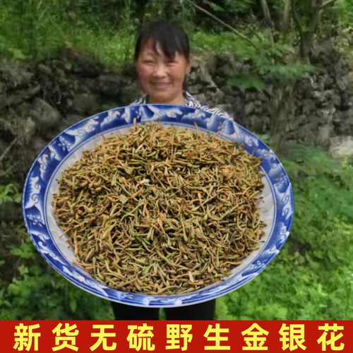 深山野生金银花无硫2024年新货
