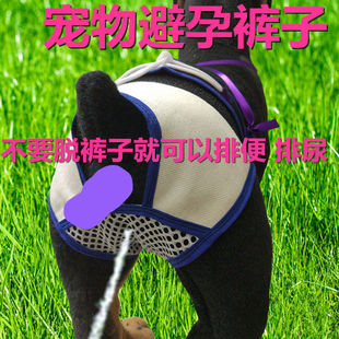 母狗月事防骚扰狗绝育例假狗防交配狗狗生理期安全裤