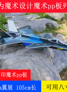 歼二十20遥控EPP板耐摔魔术pp板模型 电动遥控航模飞机有为模型