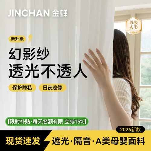 幻影纱透光不透人成品现货纱帘