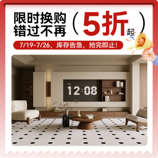2025新款 地毯客厅卧室法式 可折叠防水防滑可擦垫子地垫大宅沙发毯