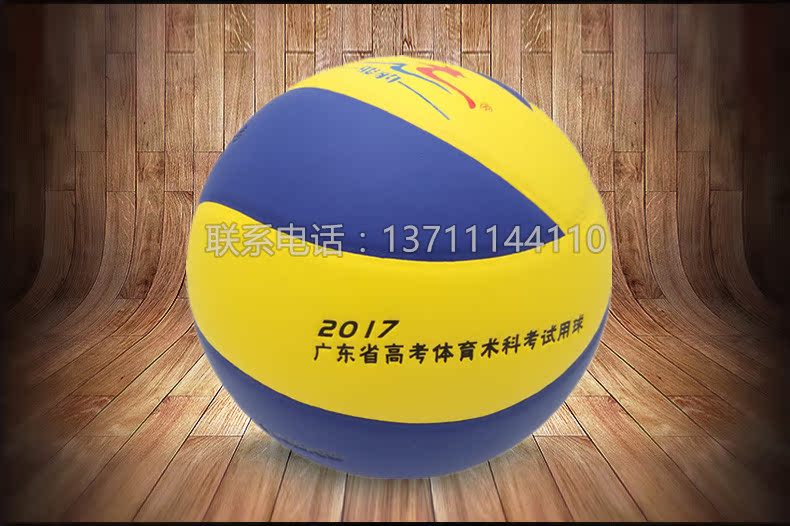 Ballon de volley - Ref 2014490 Image 3