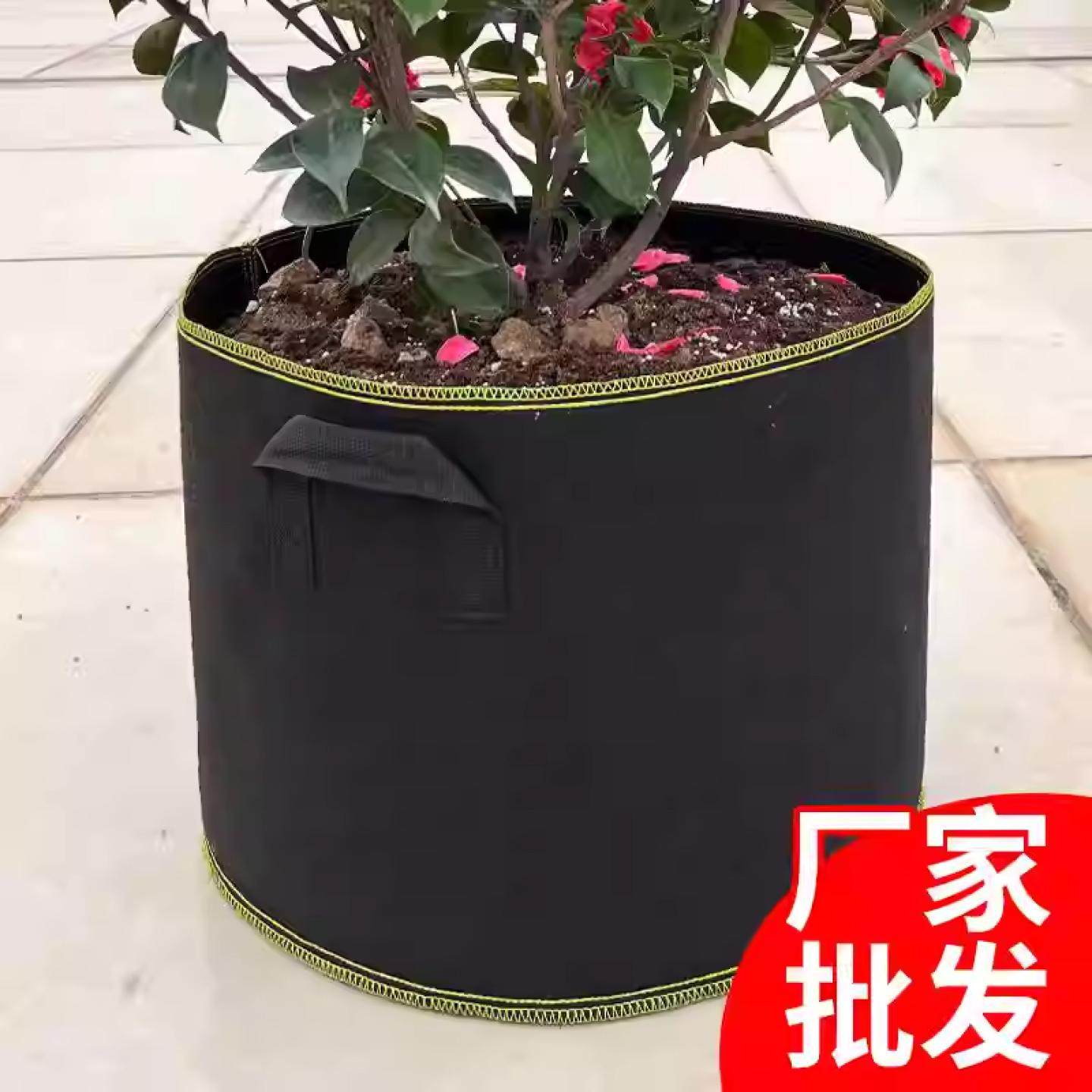 种美植袋加厚绿边黑色五线无纺布种树控根器育苗花盆特大毛毡种花
