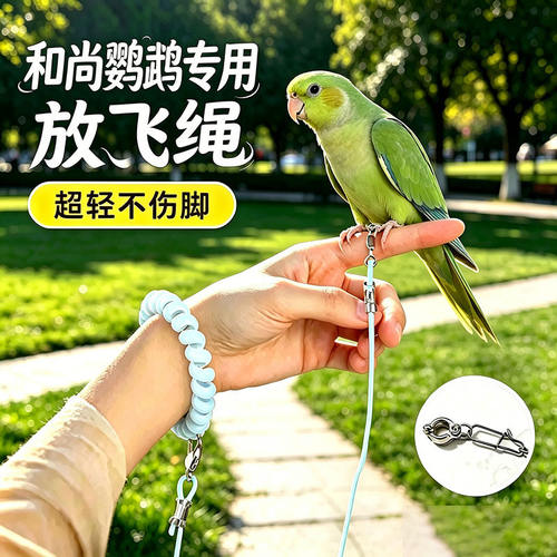 和尚专用鹦鹉放飞绳外出神器牵引绳放飞遛溜鸟绳绳子不伤脚栓鸟绳