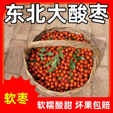 东北辽宁朝阳2025年新鲜大酸枣软枣软糯酸甜7分酸3分甜包邮
