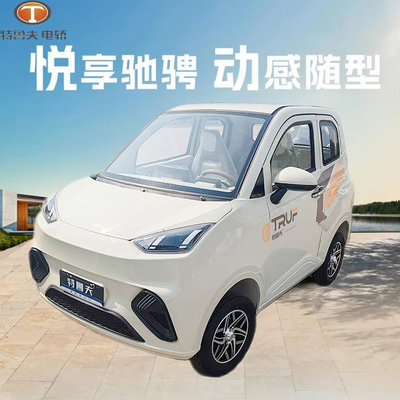 特鲁夫悦动电动四轮车电轿