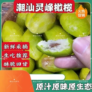 精品凌峰橄榄新鲜灵峰橄榄生吃酥脆甘香新鲜现摘橄榄潮汕特产水果