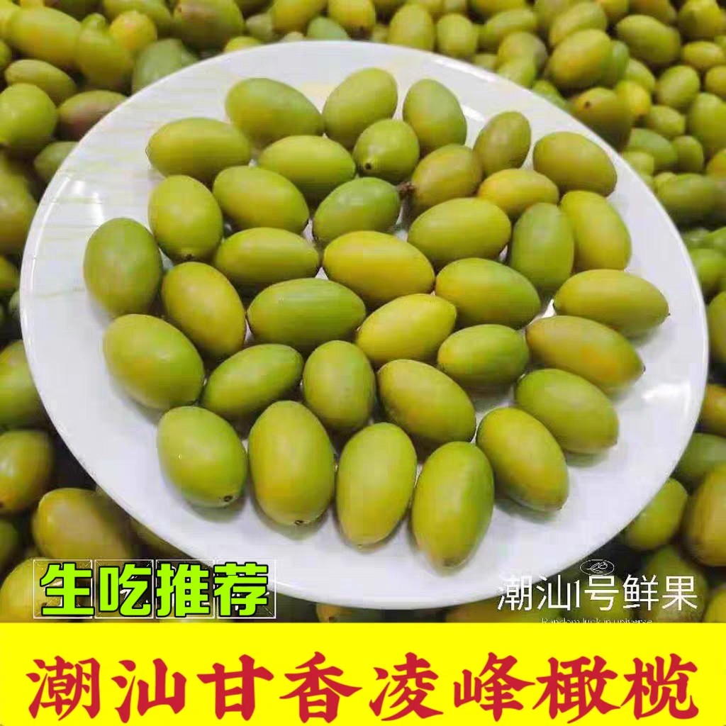 潮汕特产灵峰橄榄新鲜甘香青橄榄果甜种凌峰橄榄酥脆甘甜孕妇水果