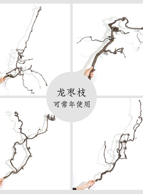 龙枣枝干枯枝中式造景摆件天然