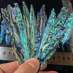 新西兰鲍鱼贝片螺钿片大漆螺钿片贝壳片漆器漆画漆艺镶嵌材料首饰