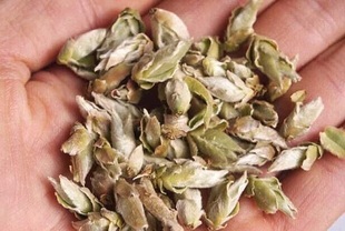 野生芽茶 云南古树芽苞 白茶芽苞 2003年白茶 入囗清甜 500g包邮