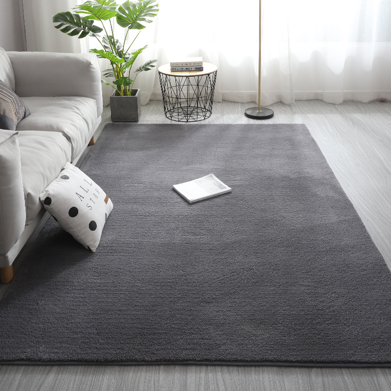 2025新款加厚轻奢地毯