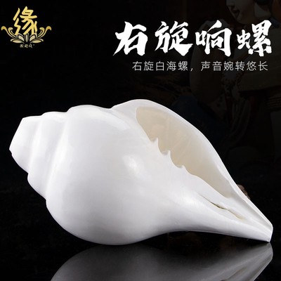 尼泊尔密宗法器八供法螺白海螺
