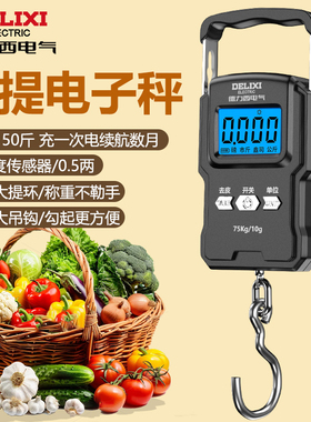 德力西电气便携式手提电子秤精准克秤家用小型高精度称重手提秤