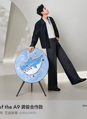 【龚俊同款】B&O限量上新Beosound A9 5.G Art蓝牙音箱家用音响bo