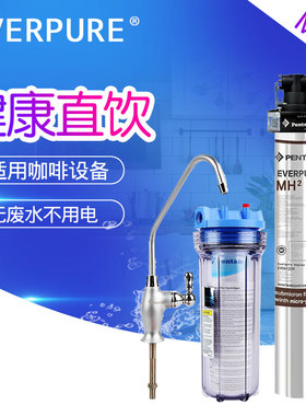 爱惠浦净水器MH2 商用餐饮酒店咖啡奶茶店厨房咖啡机净水机净水器