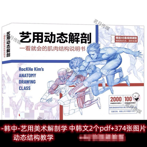 新RockHe Kim s 艺用美术人体动态解剖教学 CG参考素材中文版