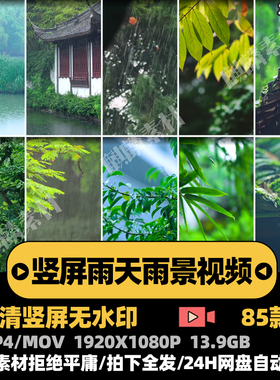 竖屏雨天水滴禅意屋檐禅心古寺佛系小清新雨景短视频剪辑素材