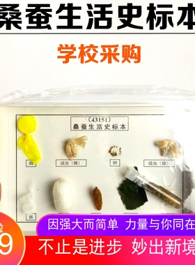桑蚕生活史标本 中小学生物标本科学实验器材 43151生物仪器 教学