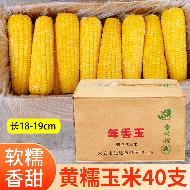 年香玉速冻散装黄糯玉米棒A级粘糯冷冻大号甜糯玉米早餐商用40根