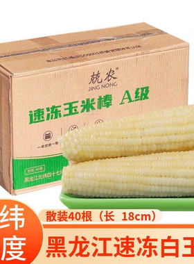 北纬47度兢农白糯玉米棒A级 东北新鲜速冻玉米棒散装40支早餐商用