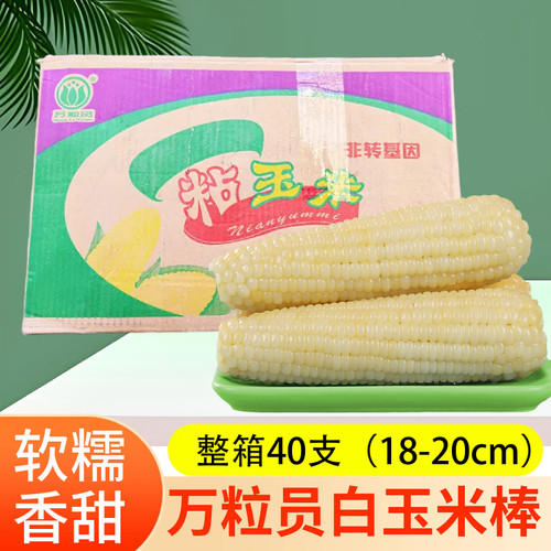 万粒员东北白糯玉米香甜软糯