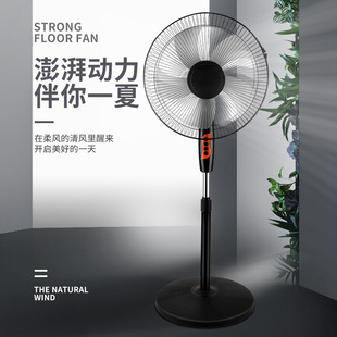 110v伏美国台湾家用壁扇摇头落地扇出国船舶挂扇静音大风力电风扇