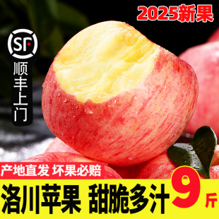 洛川苹果新鲜水果当季 红富士 整箱正宗陕西苹果产地直发10延安应季