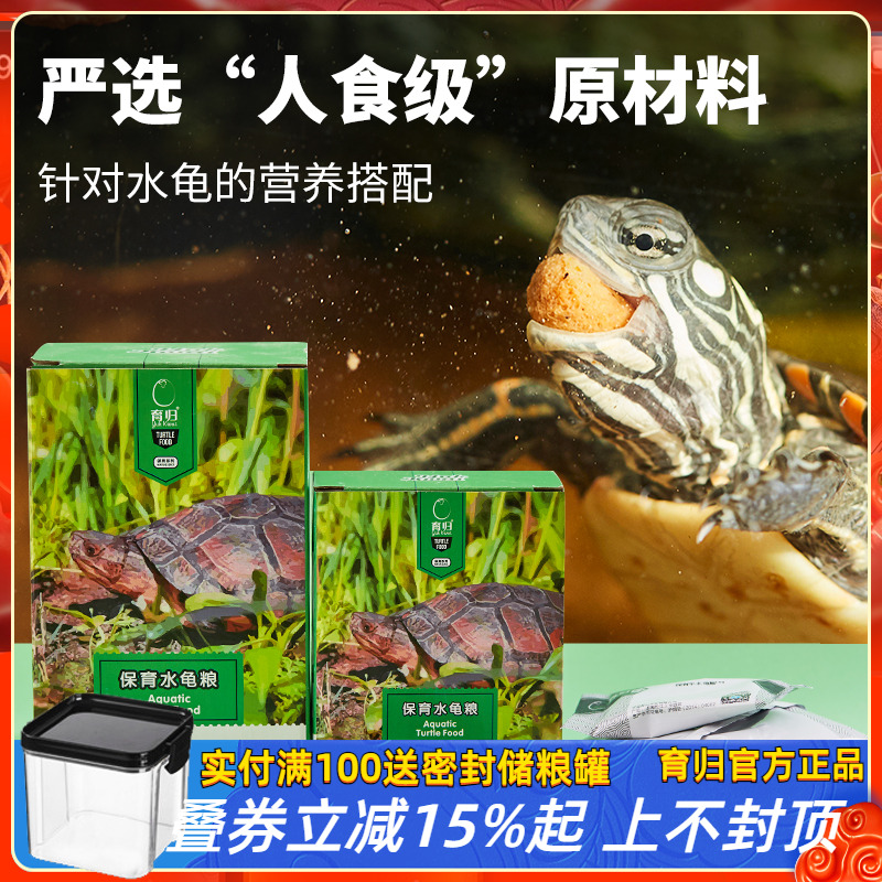 育归龟饲料钻纹剃刀麝香黄喉