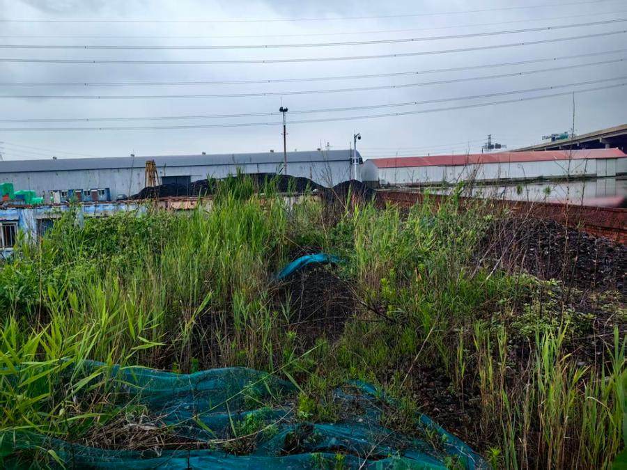 1月8日天津5118.16吨货物网络拍卖公告