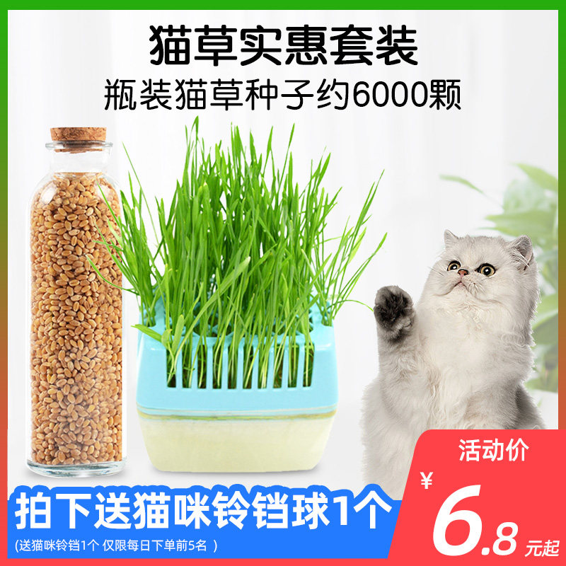 土培种植盆多少钱 土培种植盆优惠券免费领取 有条鱼