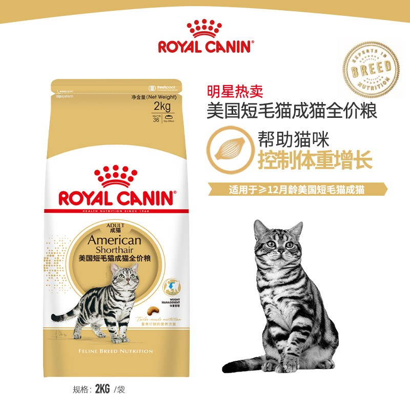 皇家美短2kg营养增肥成猫全价