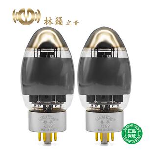林籁之音 ZX-KT88电子管 尊享系列KT88真空胆管 直代金狮 jj 6550