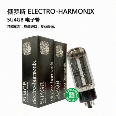 俄罗斯EH5U4GB整流电子管