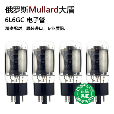 俄罗斯大盾6L6GC电子管