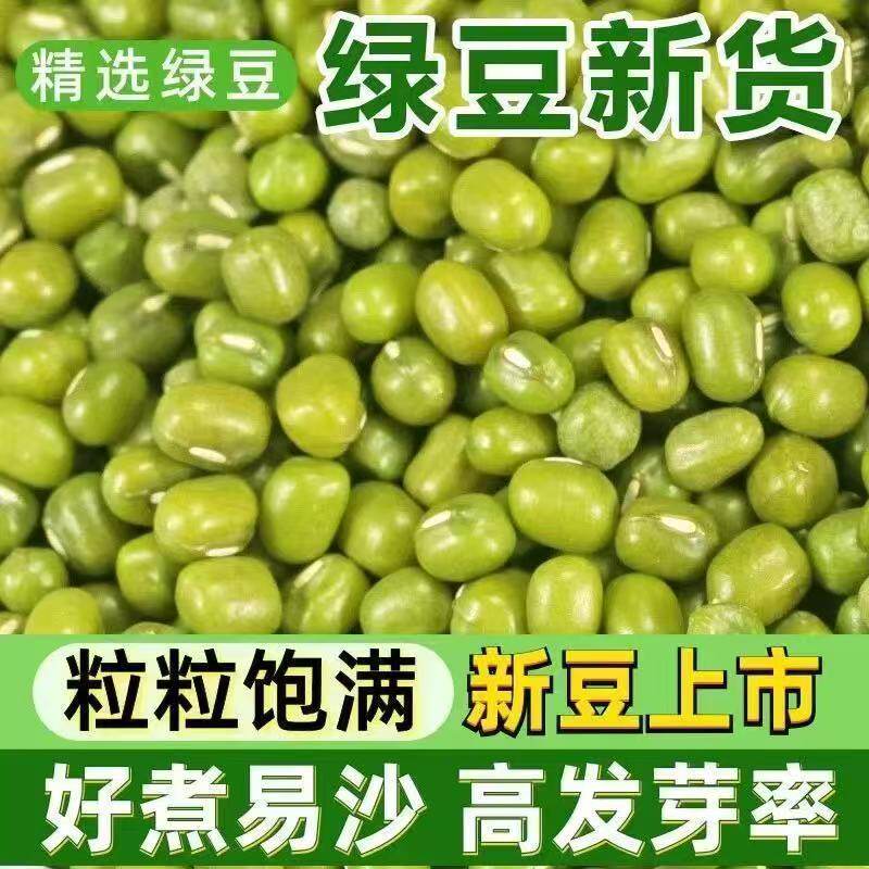 农家自产新鲜绿豆薄皮新货山东绿豆解暑绿豆汤粥糕发豆芽杂粮豆类