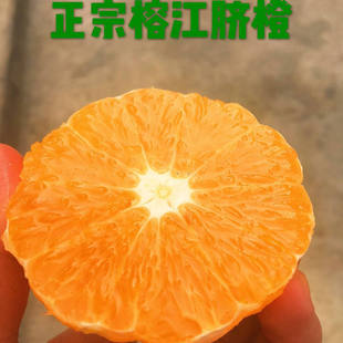 贵州村超榕江脐橙甜如初恋10斤装（包邮，偏远地区除外）