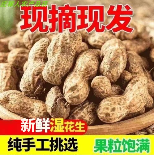 庄稼人新鲜现挖湿花生