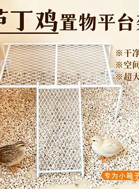 饲养箱用品爬梯网格架子