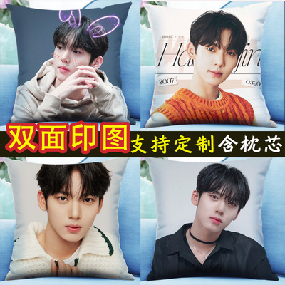 韩维辰抱枕照片定制双面含芯