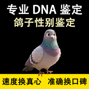 鸽子观赏鸽肉鸽家鸽信鸽赛鸽幼鸽验卡性别鉴定DNA检测玉鸟禽无卡
