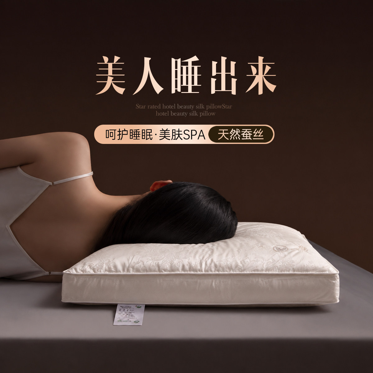 璟瑄蚕丝枕头成人护颈椎助睡眠颈椎枕家用枕头芯蚕丝枕一对装枕芯