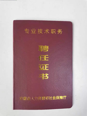安徽专业技术人员聘任书