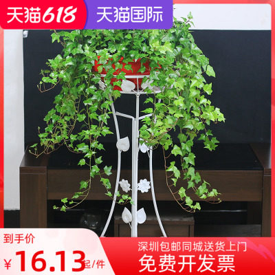 常春藤绿植盆栽室内客厅吊篮花卉空气净化植物四季常青长青藤绿植